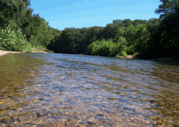 The gravel bottom keeps the river running fresh and clear.
